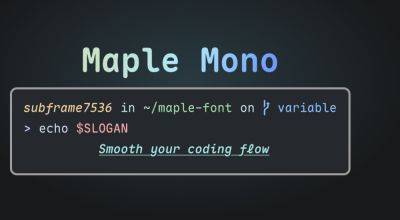 denis19 - Релиз открытого моноширинного шрифта Maple Mono Font v7.0 для использования при работе с кодом - habr.com - Microsoft