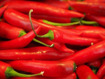 ТОП-10 жиросжигающих продуктов, которые стоит добавить в рацион всем, ко хочет похудеть - cursorinfo.co.il