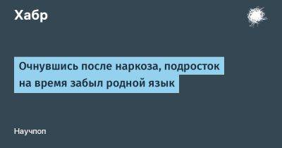SLYG - Очнувшись после наркоза, подросток на время забыл родной язык - habr.com - США - Голландия