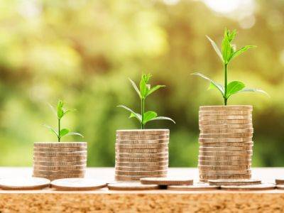Увеличили выручку на 23% по итогам первого квартала - habr.com - Россия