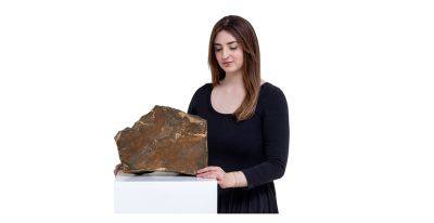 avouner - Самый большой метеорит с Марса продали на аукционе Sotheby's за $5,3 млн - habr.com - США - Италия - Рим - Нигер