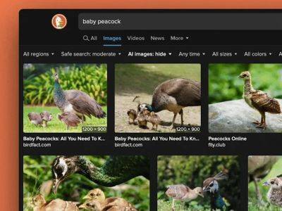 DuckDuckGo позволяет фильтровать изображения, созданные искусственным интеллектом - hitechexpert.top