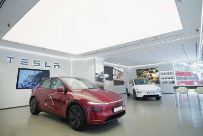 Илон Маск - Tesla теряет свою привлекательность для поклонников в Индии - hitechexpert.top - Индия - Мумбаи