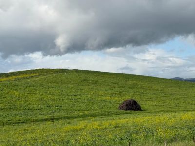 maybeelf - Пользователь смог заснять холм «Безмятежность» из Windows XP - habr.com - Венесуэла - Таиланд - шт. Калифорния - Microsoft