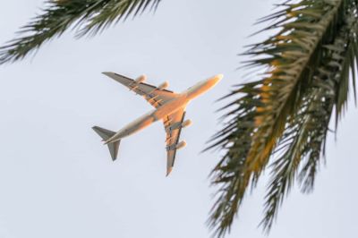 Почему летом лучше выбирать ранние авиарейсы - cursorinfo.co.il - Washington - Washington - штат Северная Дакота