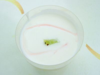 Какой йогурт на самом деле полезнее для вашего здоровья - cursorinfo.co.il