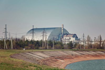 В Чернобыле нашли гриб, который питается радиацией - cursorinfo.co.il - Украина